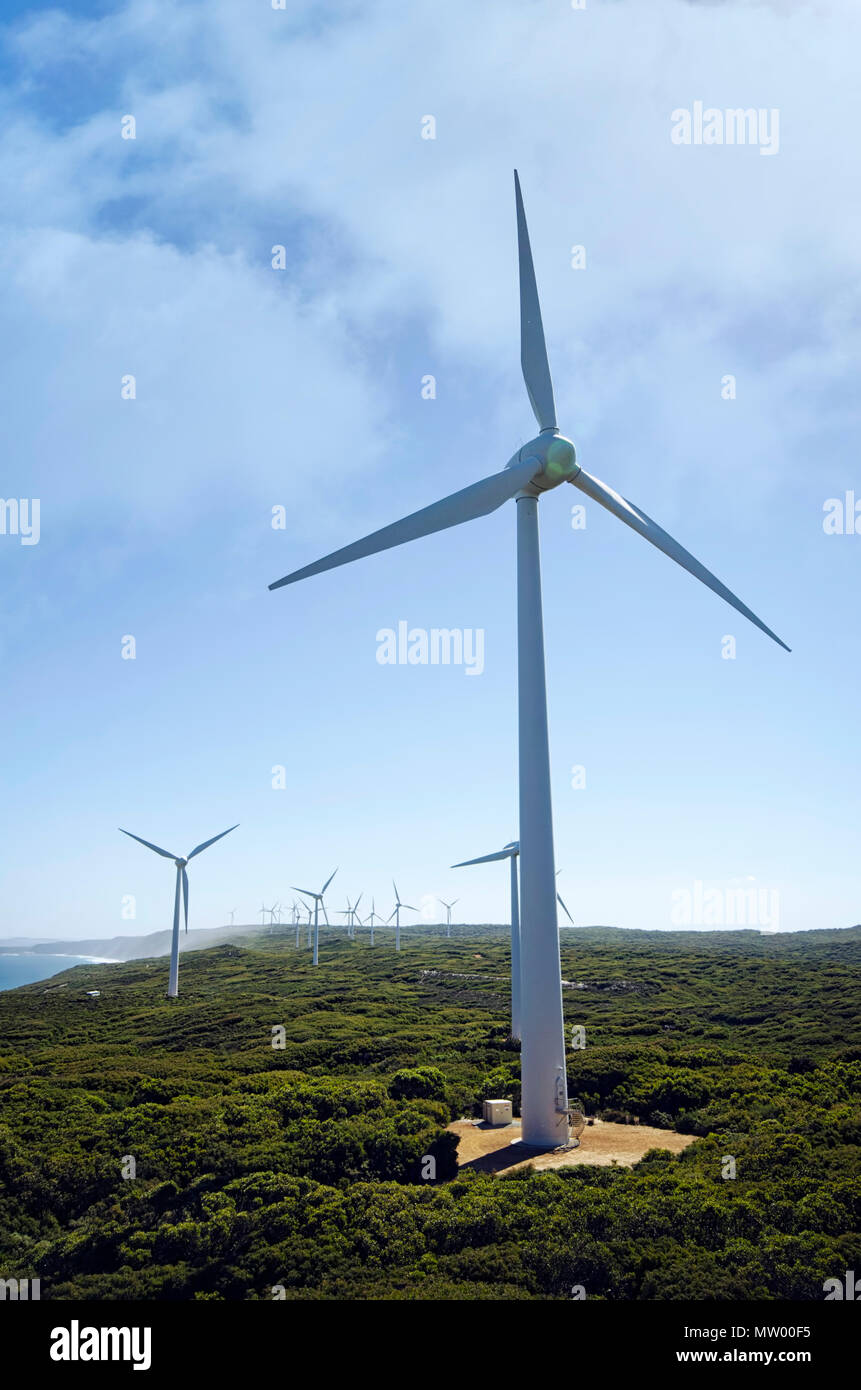Turbinas de viento en un parque eólico, en Albany, Australia Occidental, Australia Foto de stock