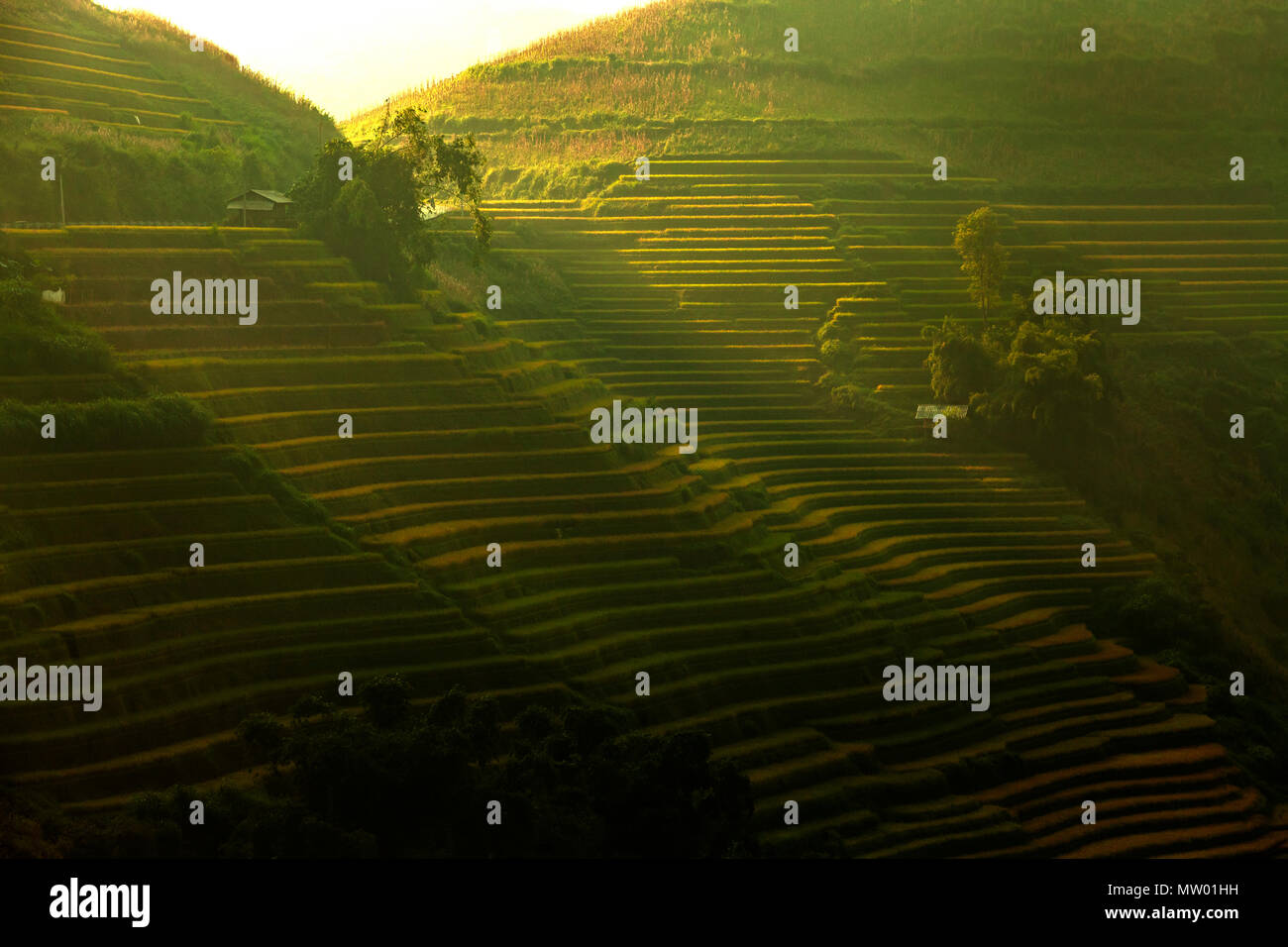 Mu Cang Chai de campos de arroz en terrazas cerca de Sapa, Vietnam Foto de stock