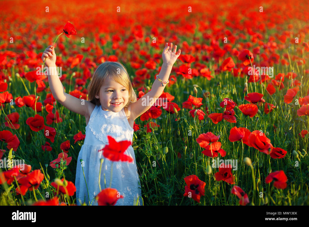 Cute Little Girl sonríe y eleva los brazos hacia arriba para alegría. campos de adormidera en Italia Foto de stock