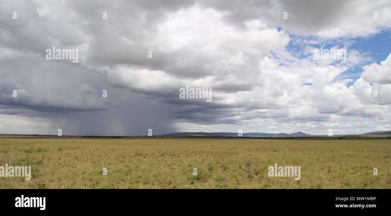 Nube de lluvia colgando sobre la sabana africana Foto de stock