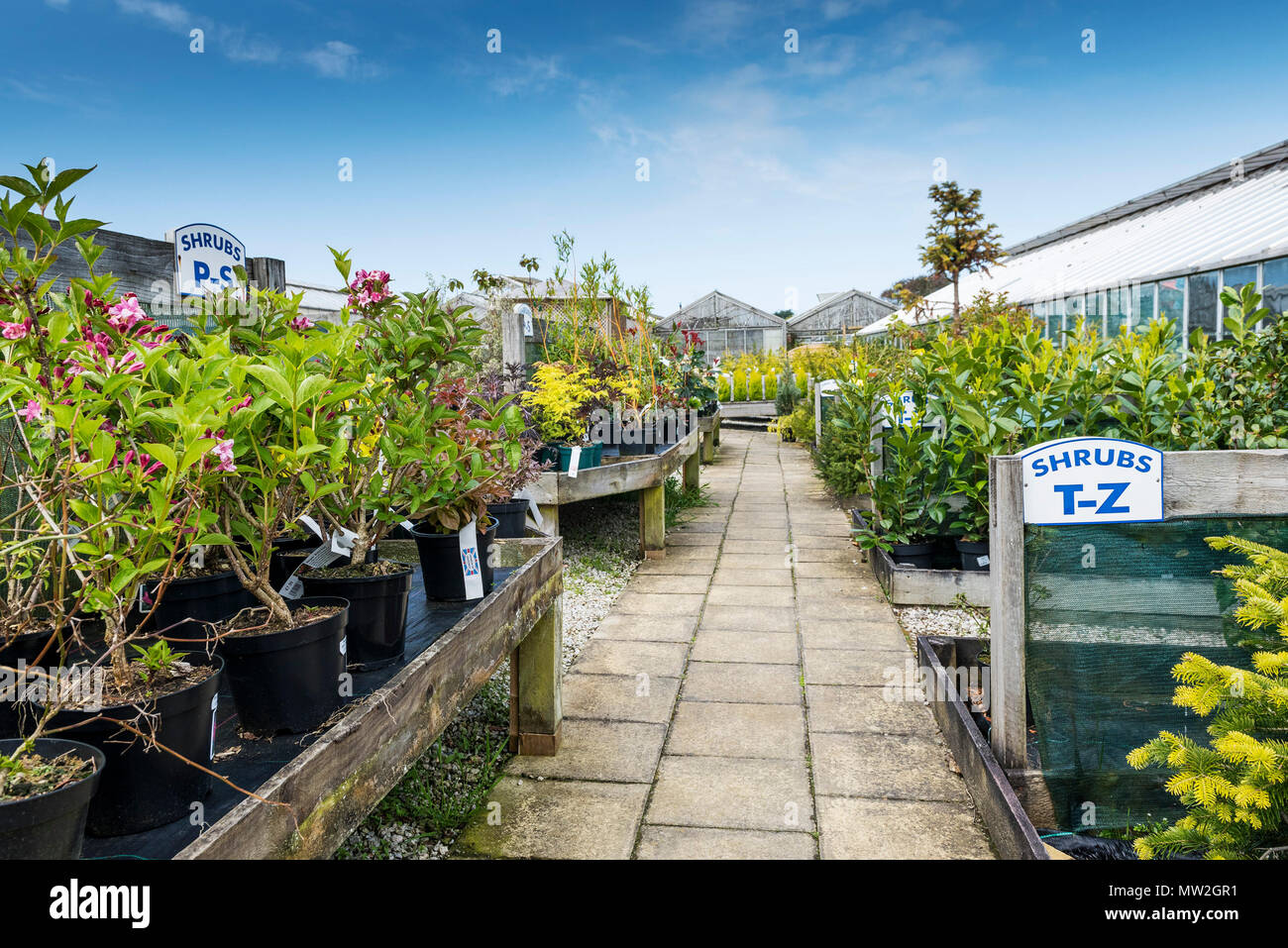 Plantas para la venta en un centro de jardinería en el Reino Unido. Foto de stock