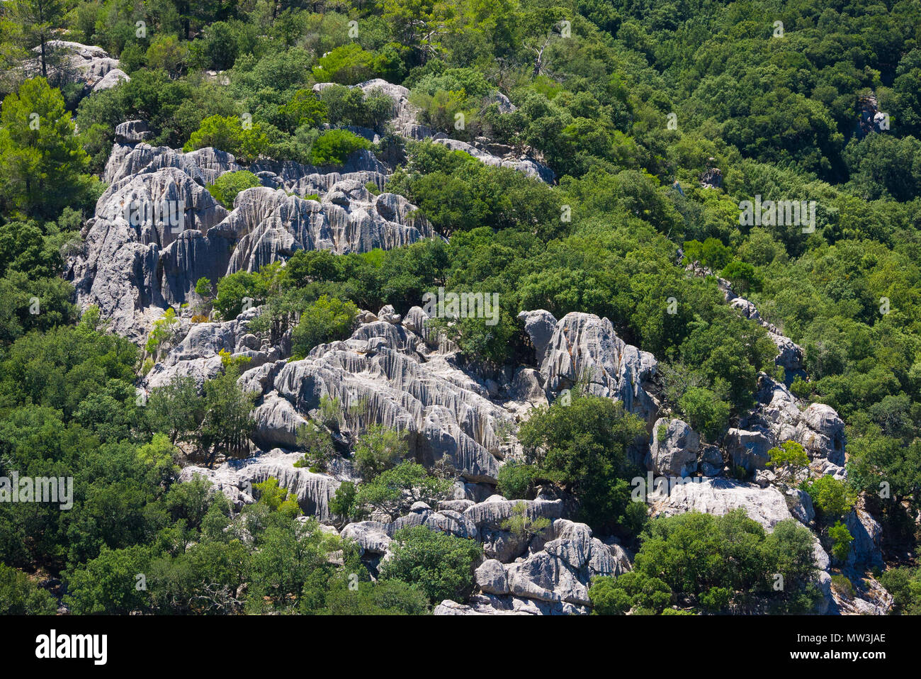 Las formaciones rocosas con estriaciones verticales rodeado de vegetación en la ladera de una colina en Mallorca, España. Foto de stock