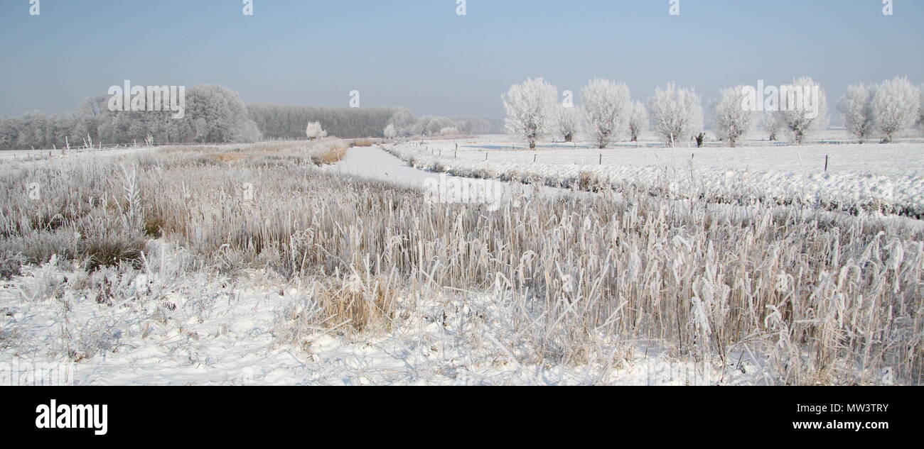 Paisaje invernal con arroyo congelado y árboles cubiertos de nieve blanca Foto de stock