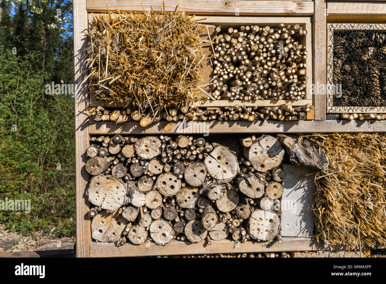 Hotel de insectos, también para las abejas, construcción de diferentes materiales naturales, conservación de la naturaleza, el medio ambiente y la protección de los animales Foto de stock