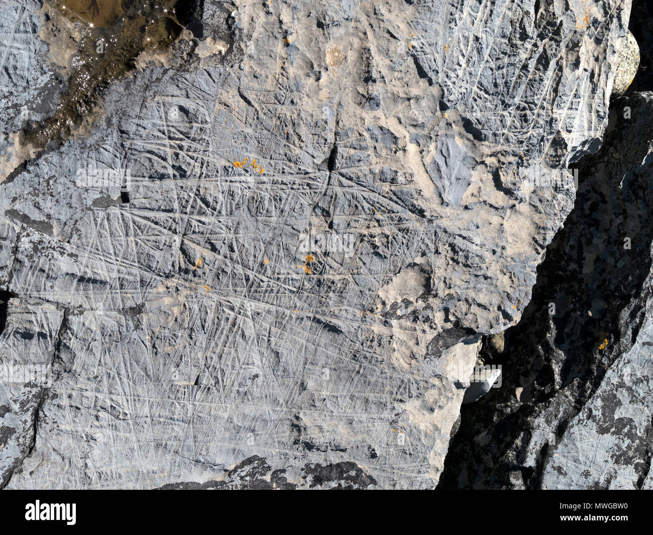 Acercamiento del multi-direccional de hielo a la deriva marcas de abrasión mudstone rock se muestra en Alamy imagen2, Glen Scaladal MWGBW Bay, Isla de Skye, Escocia, Reino Unido Foto de stock