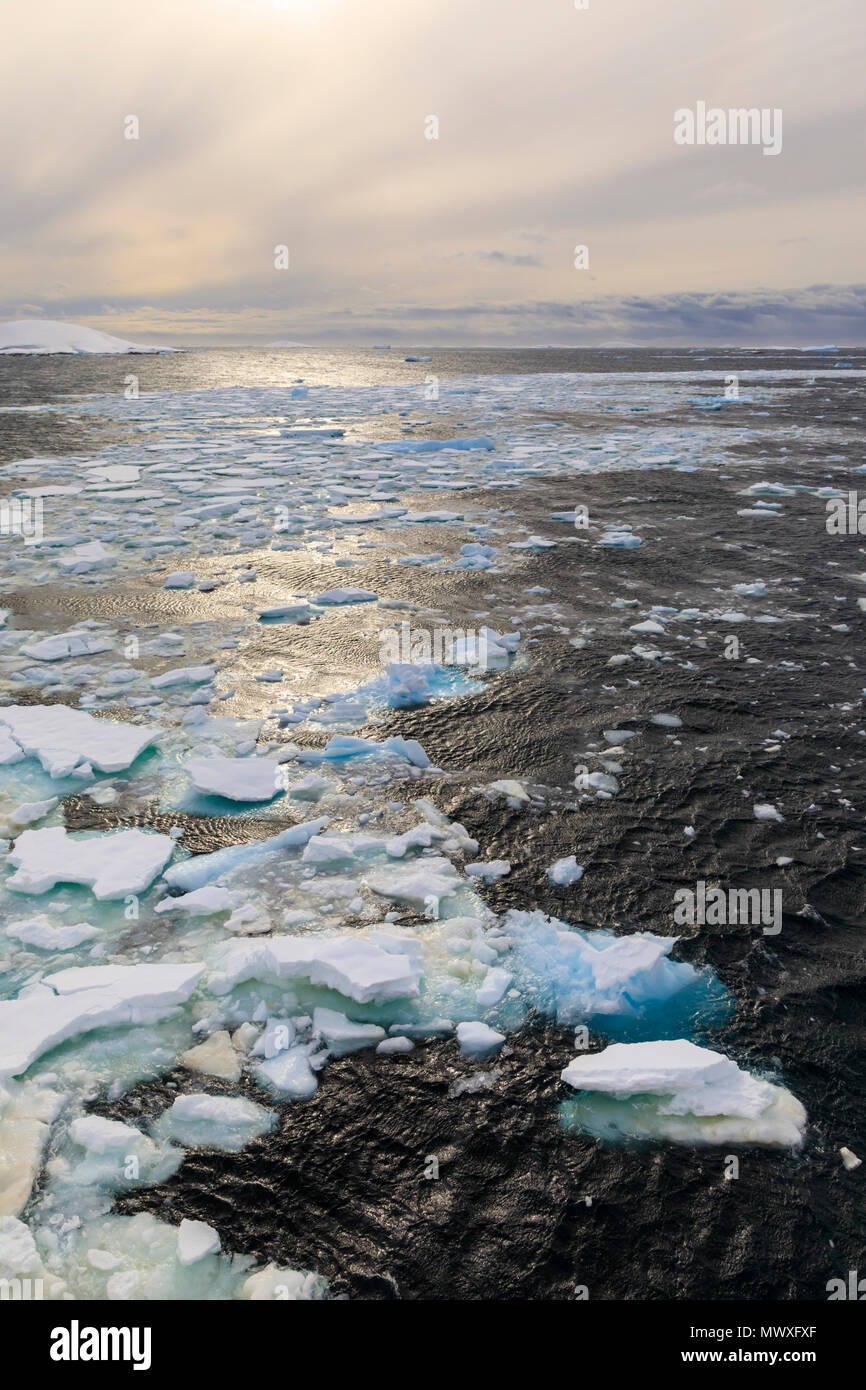 Ondulaciones y el mar de hielo, luz del atardecer, off Isla Booth, entrada al Canal Lemaire, en la Península Antártica, en la Antártida, las regiones polares Foto de stock