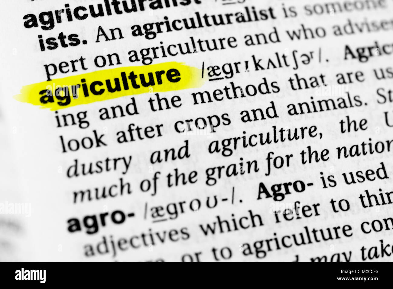 Resalta las palabras en inglés "Agricultura" y su definición en el
