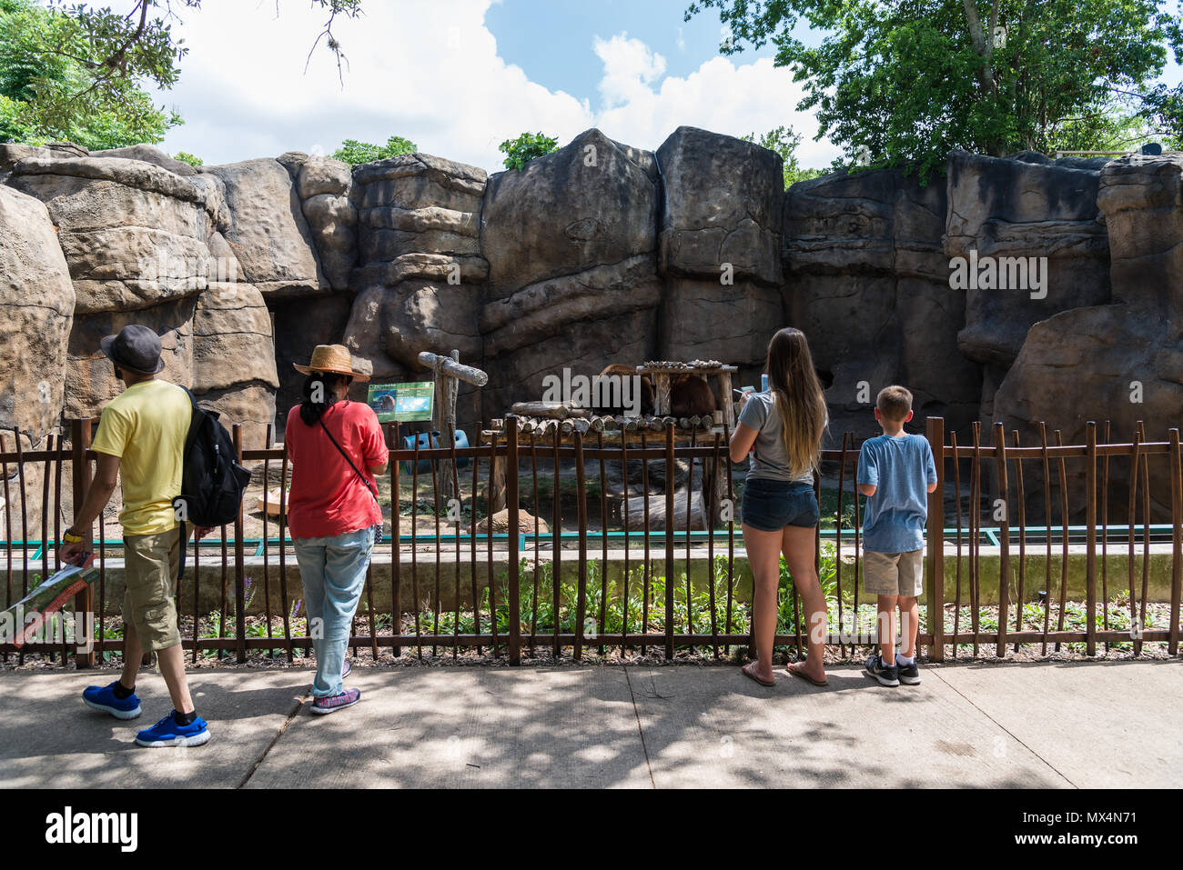 Familias y amigos disfrutan de los osos en el zoo de Houston. Houston, Texas, EE.UU. Foto de stock