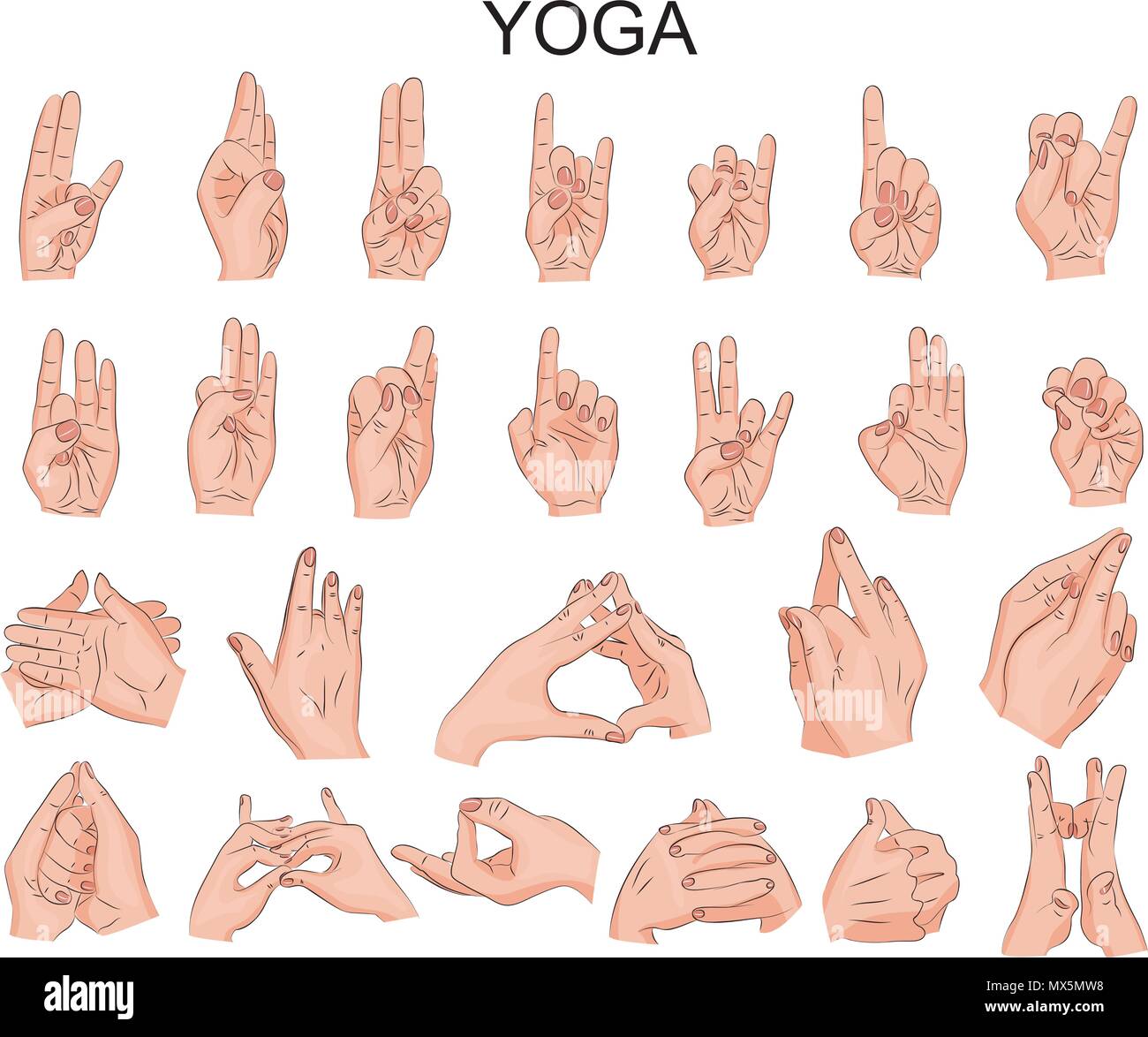 Ilustración de las distintas posiciones de las manos en el yoga, la  meditación, el sabio Imagen Vector de stock - Alamy