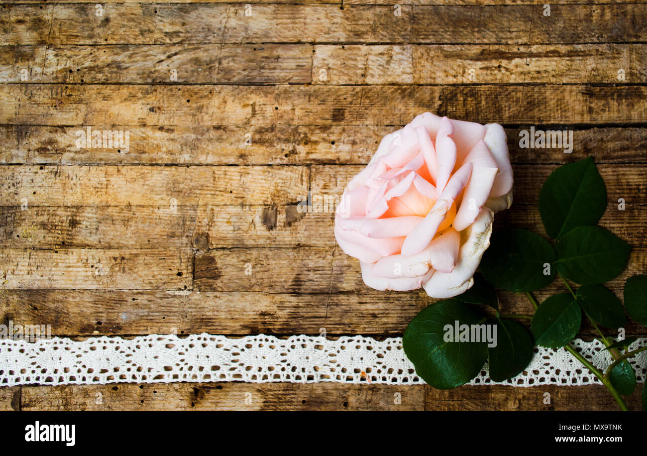 Homegrown rose arreglo sobre una mesa de madera con espacio de copia Foto de stock