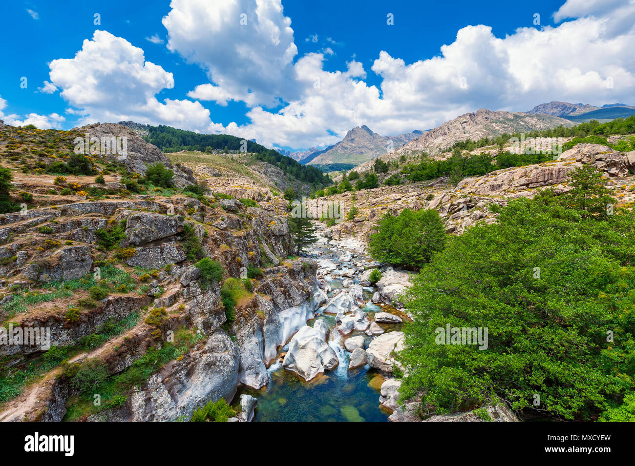 Stream y Cordillera en Córcega, Francia en primavera Foto de stock