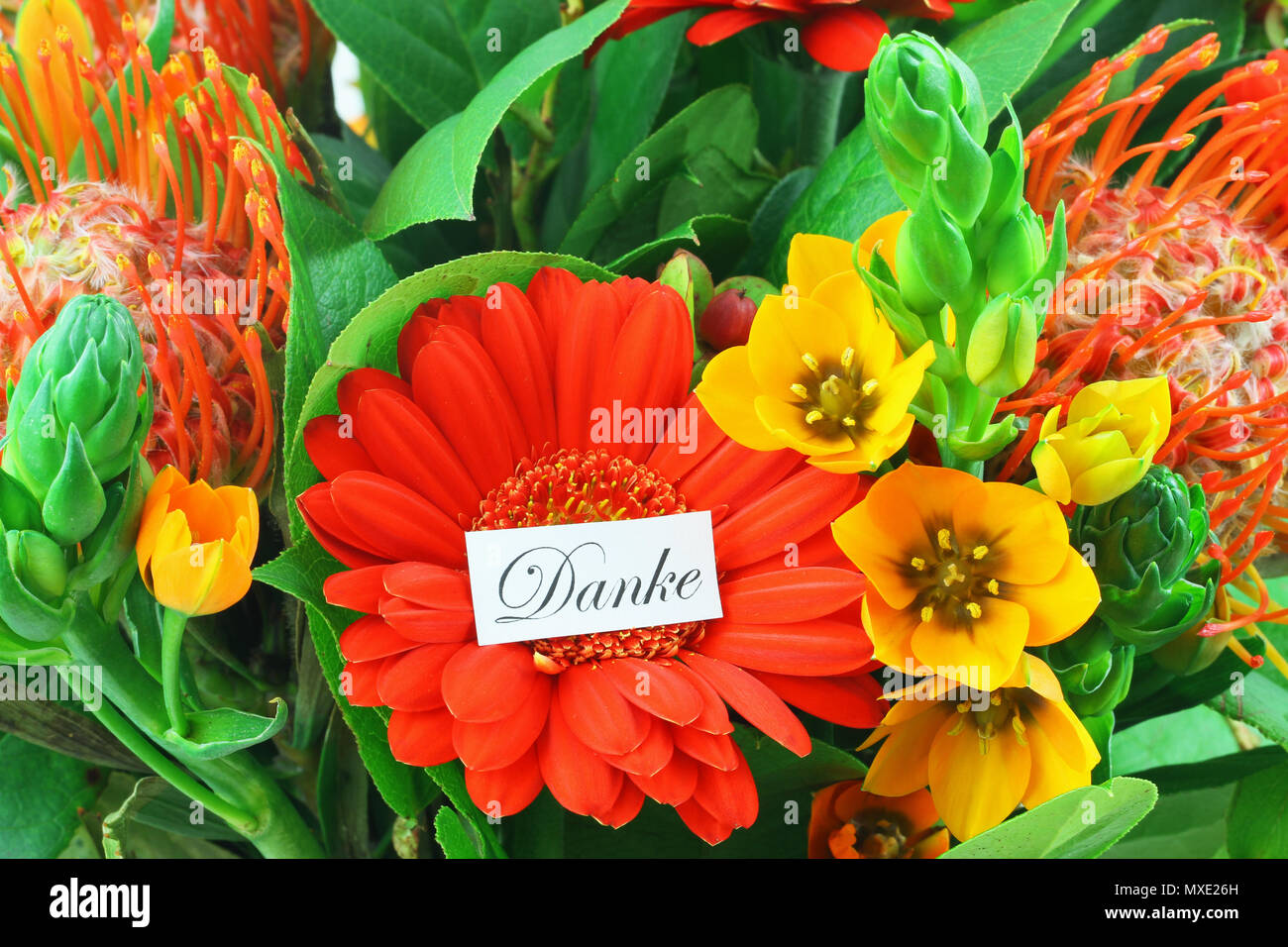 Danke (gracias en alemán) tarjeta con fondo de colores de flores Foto de stock
