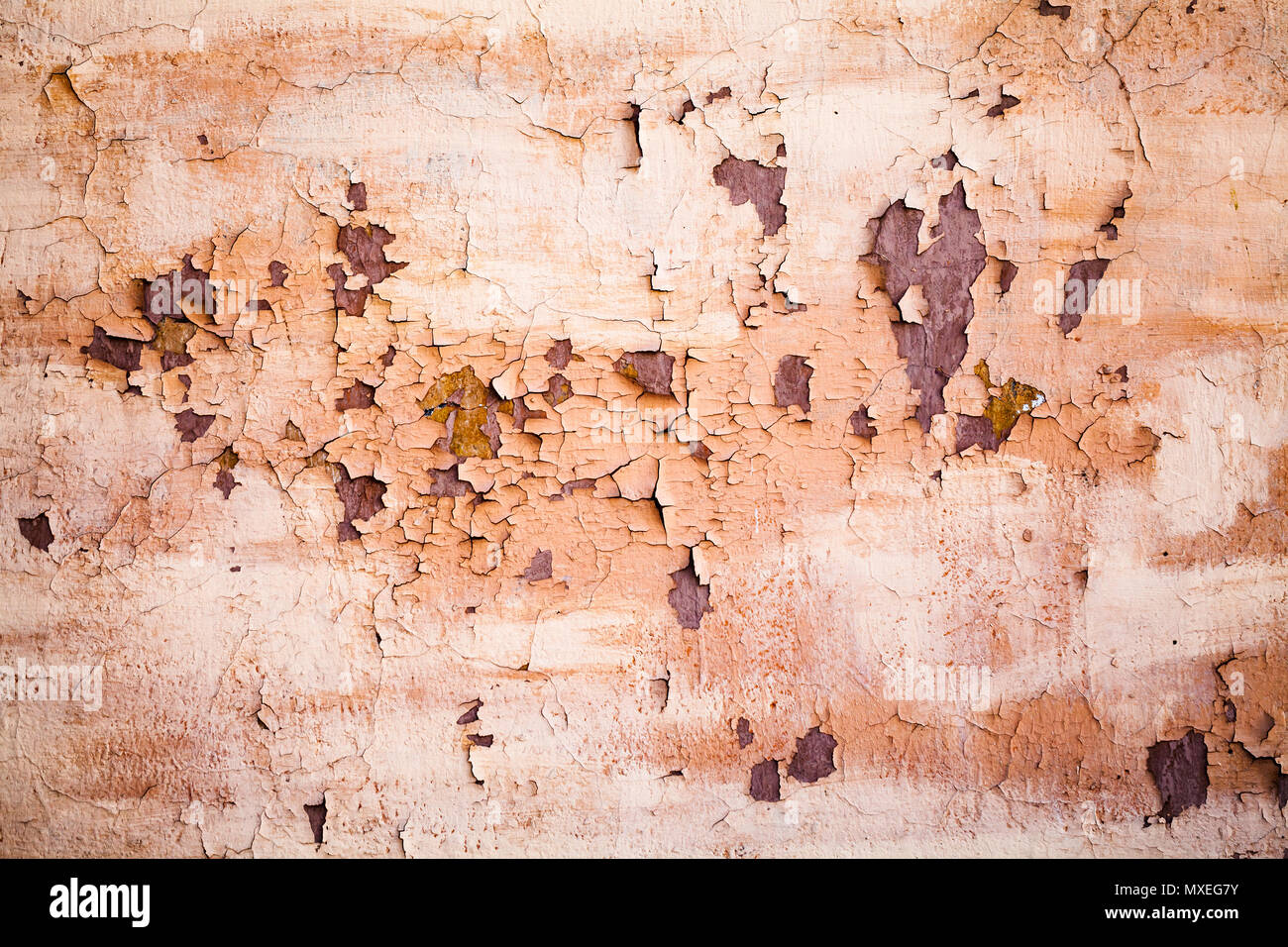 Grunge pared metálica de color rosa con manchas de óxido y pintura  desconchada, cerca de la foto de fondo textura Fotografía de stock - Alamy