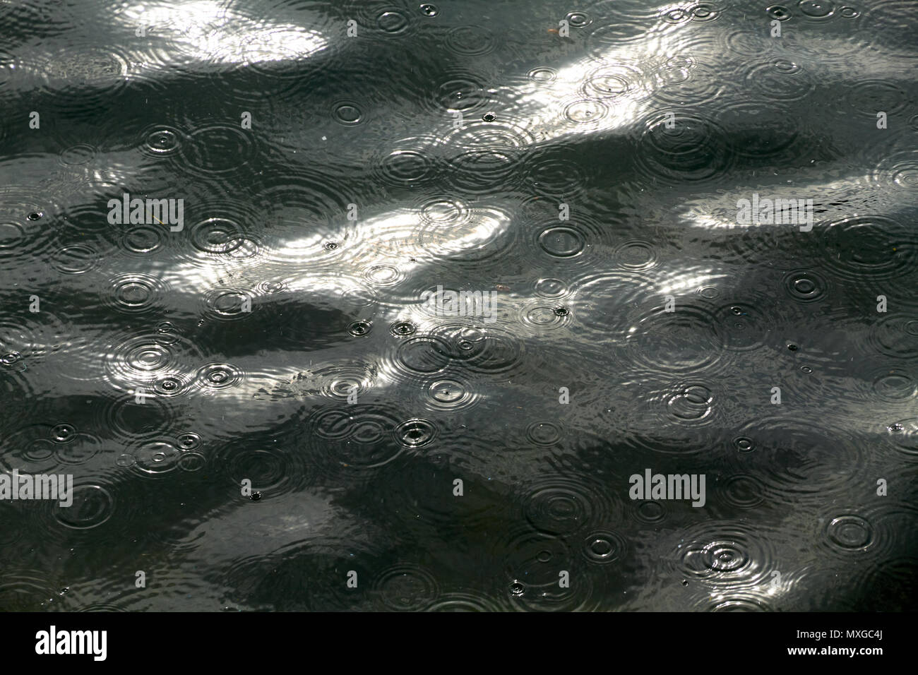 Las gotas de lluvia sobre el mar Foto de stock