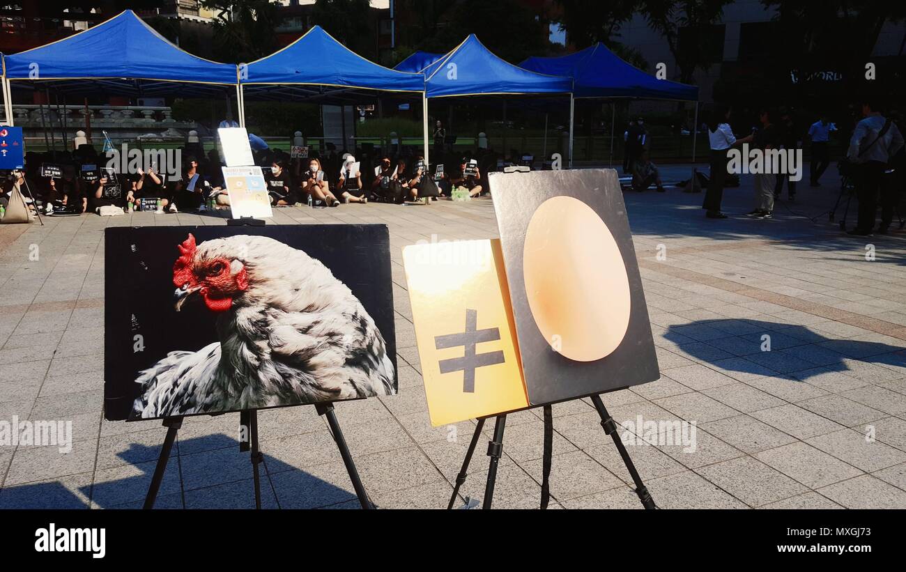 Seúl, Corea del Sur. 04 junio, 2018. Rally pro-elección los miembros de un cuerpo cívico pro-elección rally en el centro de Seúl, el 3 de junio de 2018, para exigir la despenalización del aborto. Crédito: Yonhap/Newcom/Alamy Live News Foto de stock