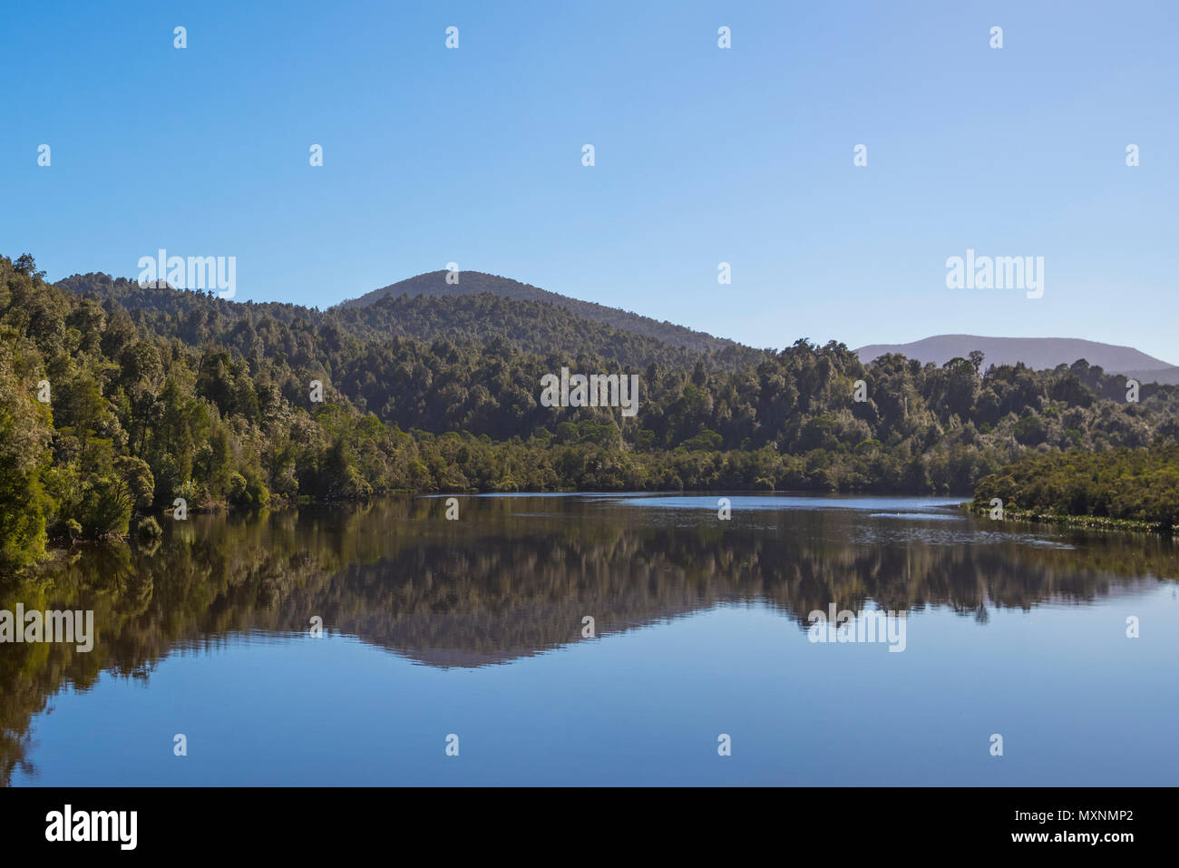 Los árboles se refleja en Gordon River, Costa Oeste de Tasmania Foto de stock