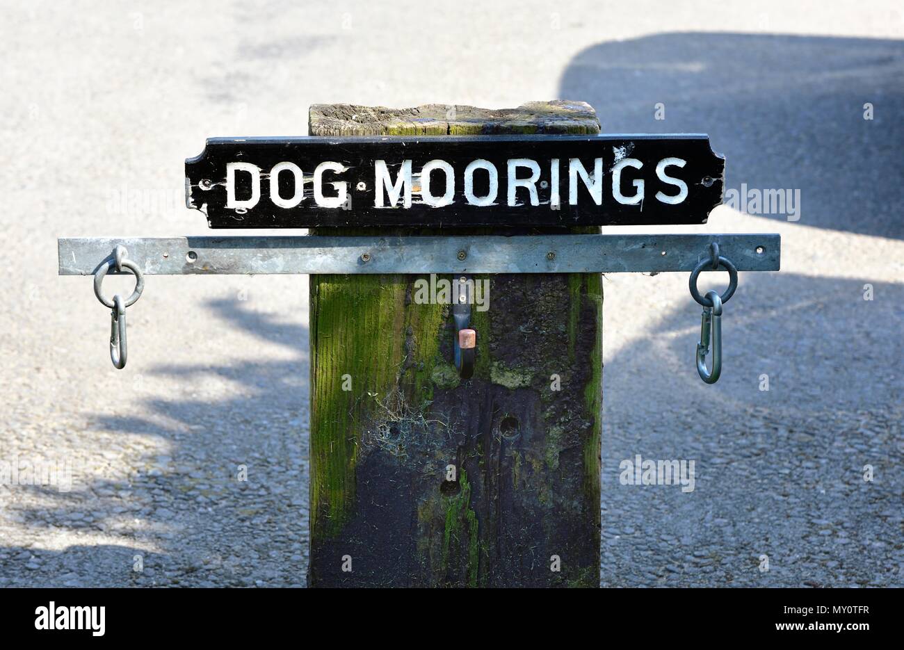 Perro amarres en Marina Mercia Willington Derbyshire, Inglaterra Foto de stock