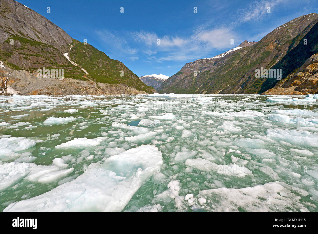 Agua de deshielo y témpanos de hielo a Tracy Arm Fjord, Alaska, Pacífico Norte, EE.UU. Foto de stock