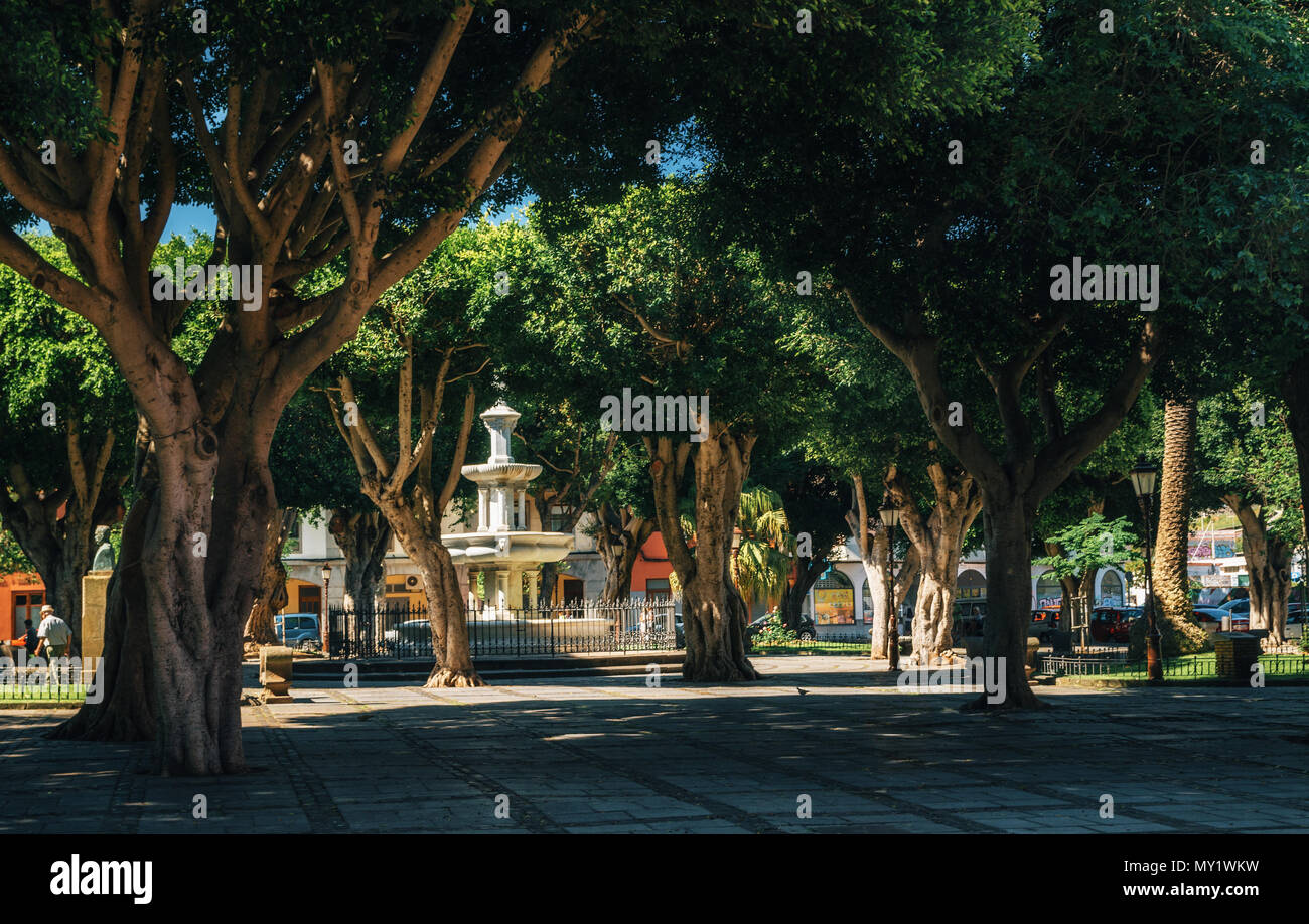 La Laguna, Santa Cruz de Tenerife, Islas Canarias, España - 23 de mayo de 2017: Adelantado Plaza de exuberante vegetación y árboles con una fuente potente en San Cristobal de la Foto de stock