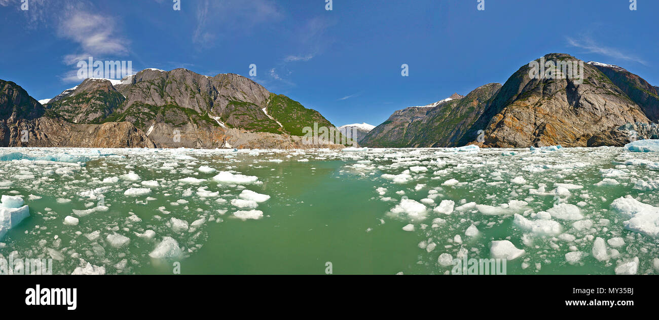 Agua de deshielo y témpanos de hielo a Tracy Arm Fjord, Alaska, Pacífico Norte, EE.UU. Foto de stock