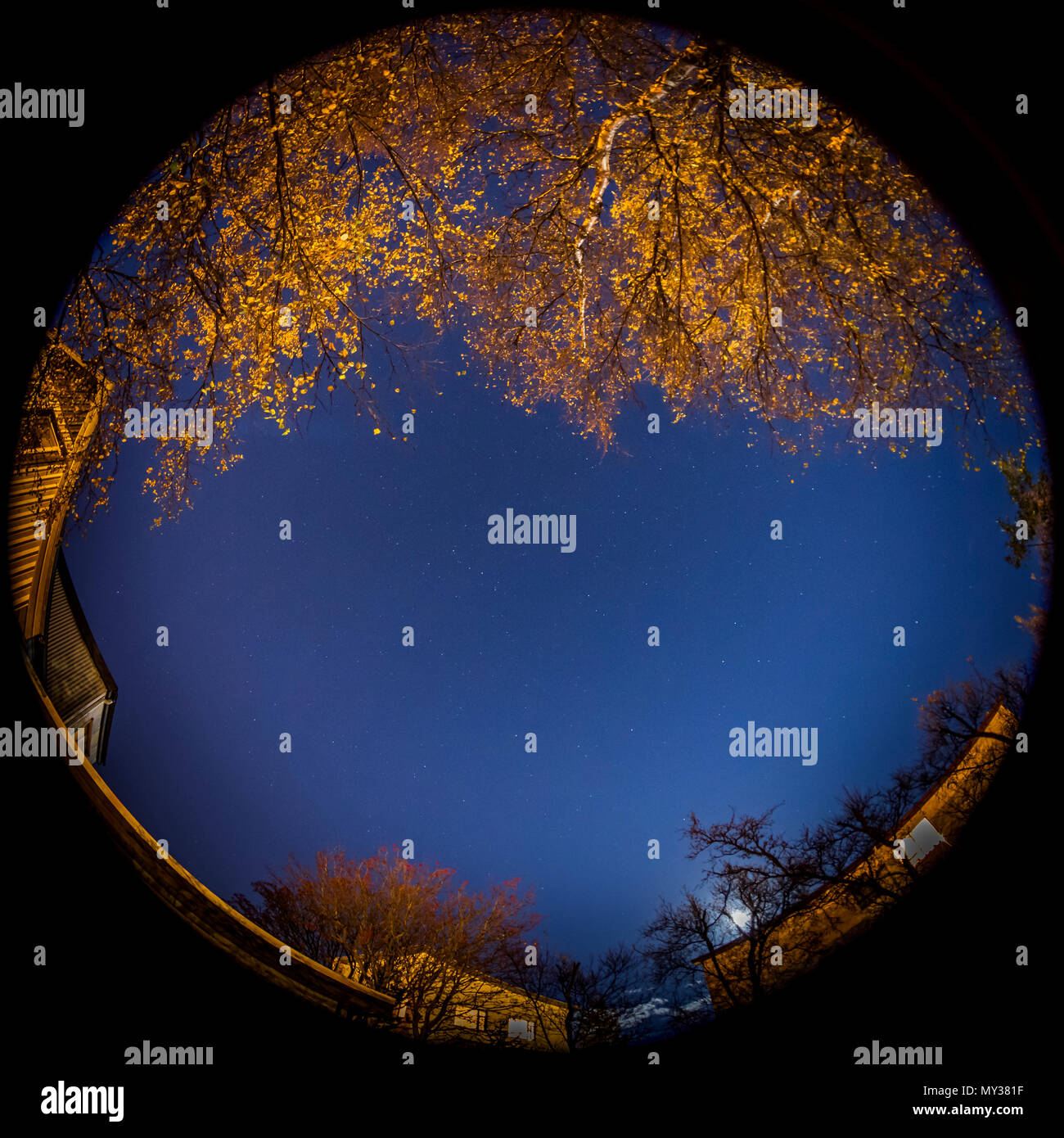 Panorámica de 360 grados, los árboles y las estrellas, Islandia Foto de stock