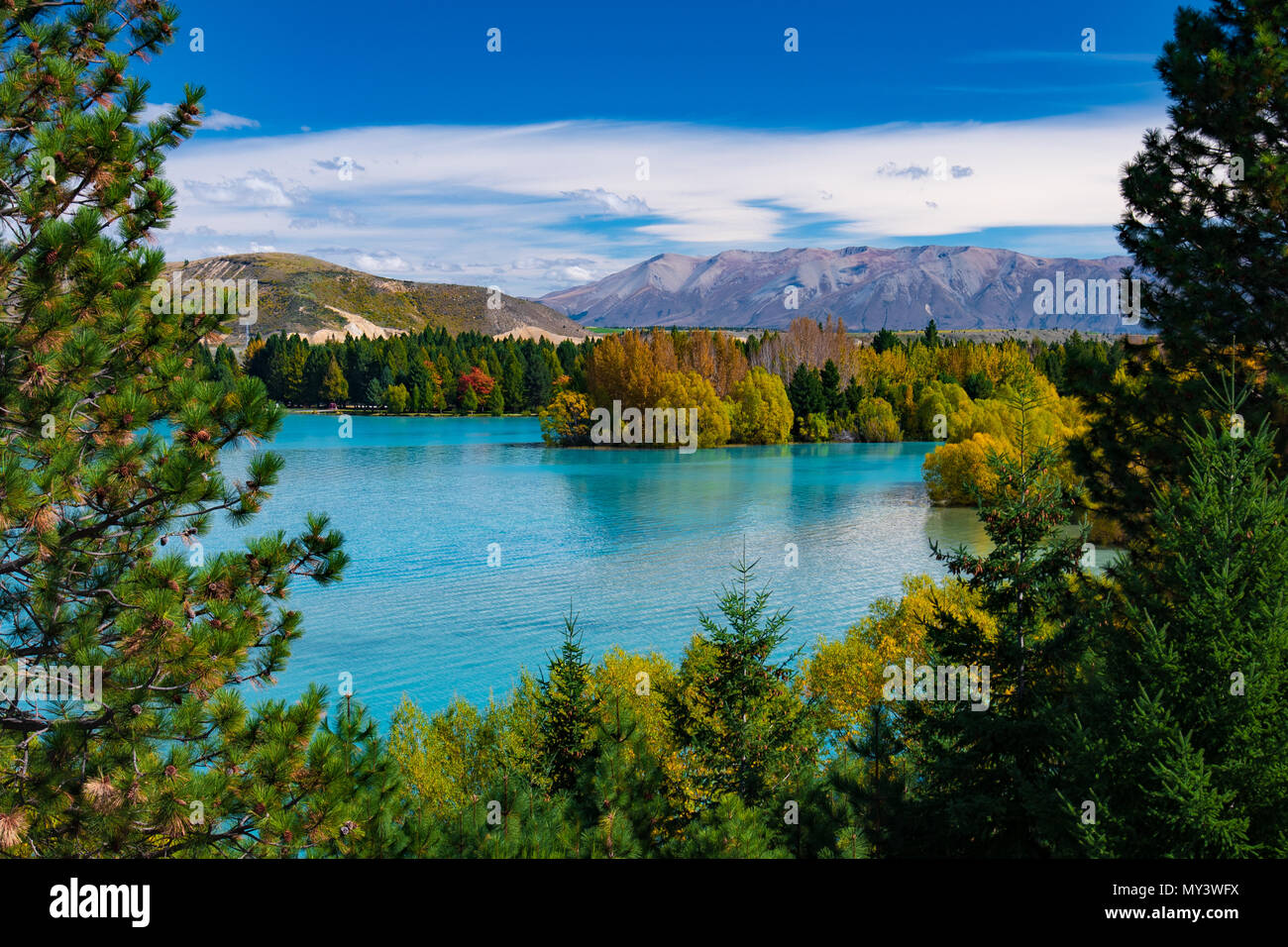 Lago rodeado por un bosque en otoño, Isla del Sur, Nueva Zelanda Foto de stock