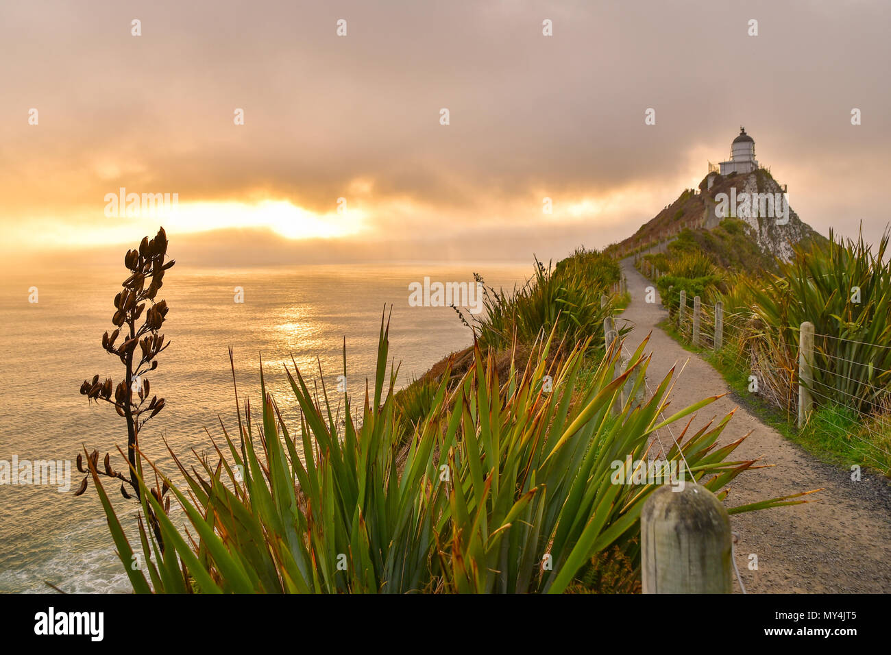 Nugget Point Lighthouse con amanecer, Isla del Sur, Nueva Zelanda Foto de stock