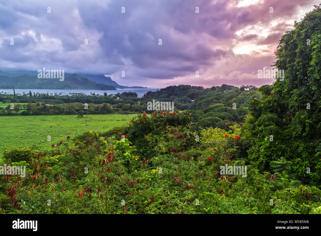 Impresión del hermoso Jardín Isla Kauai Foto de stock