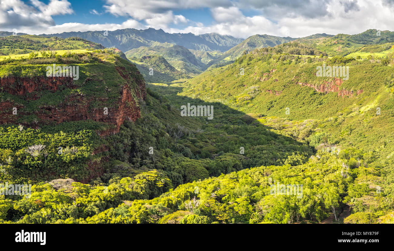 Impresión del hermoso Jardín Isla Kauai Foto de stock