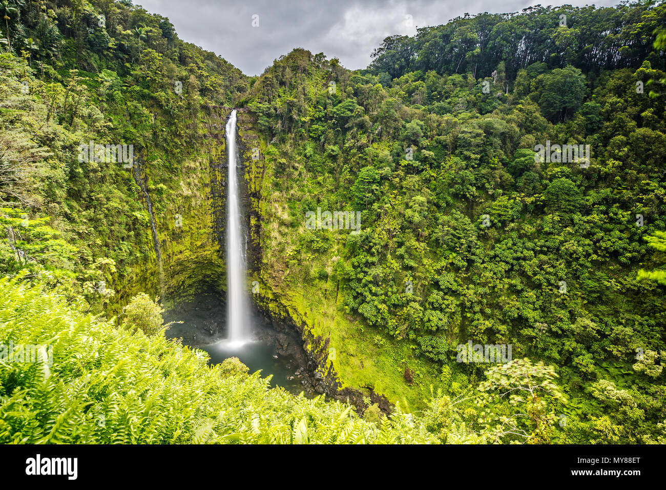 Akaka Falls en Big Island, Hawai Foto de stock