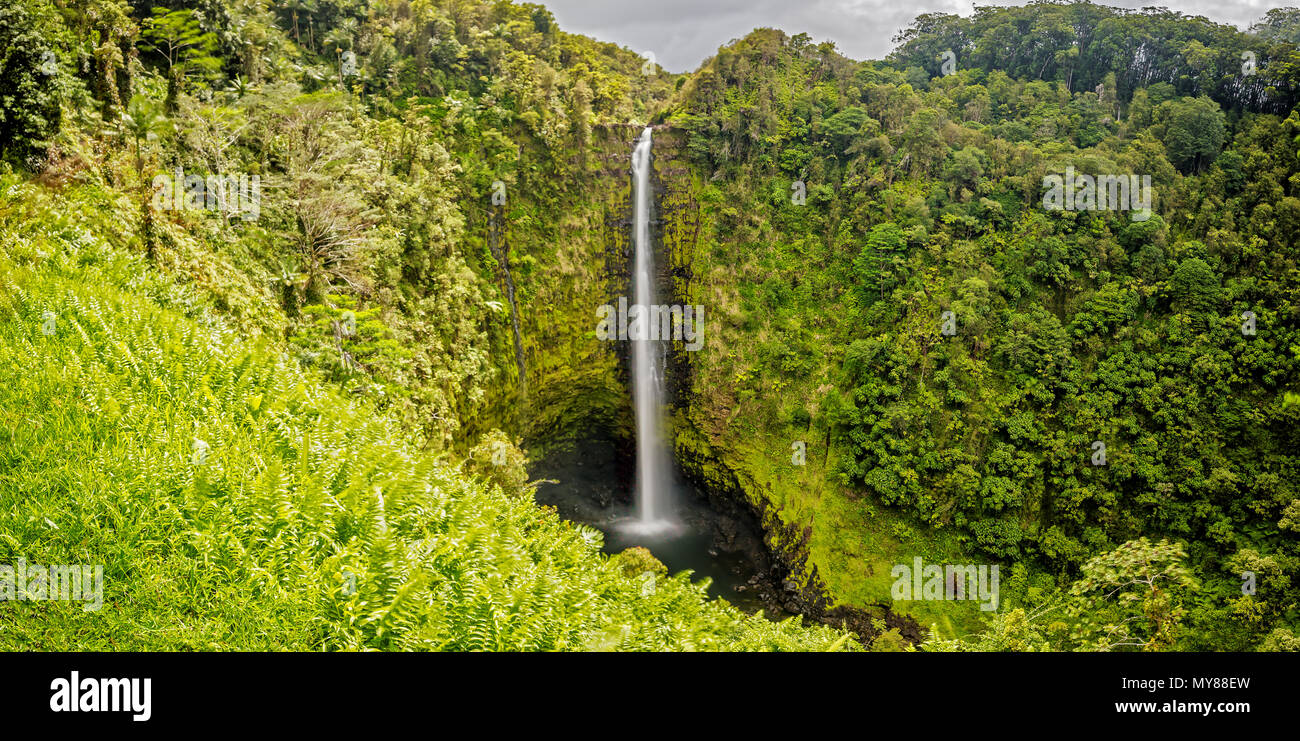 Akaka Falls en Big Island, Hawai Foto de stock