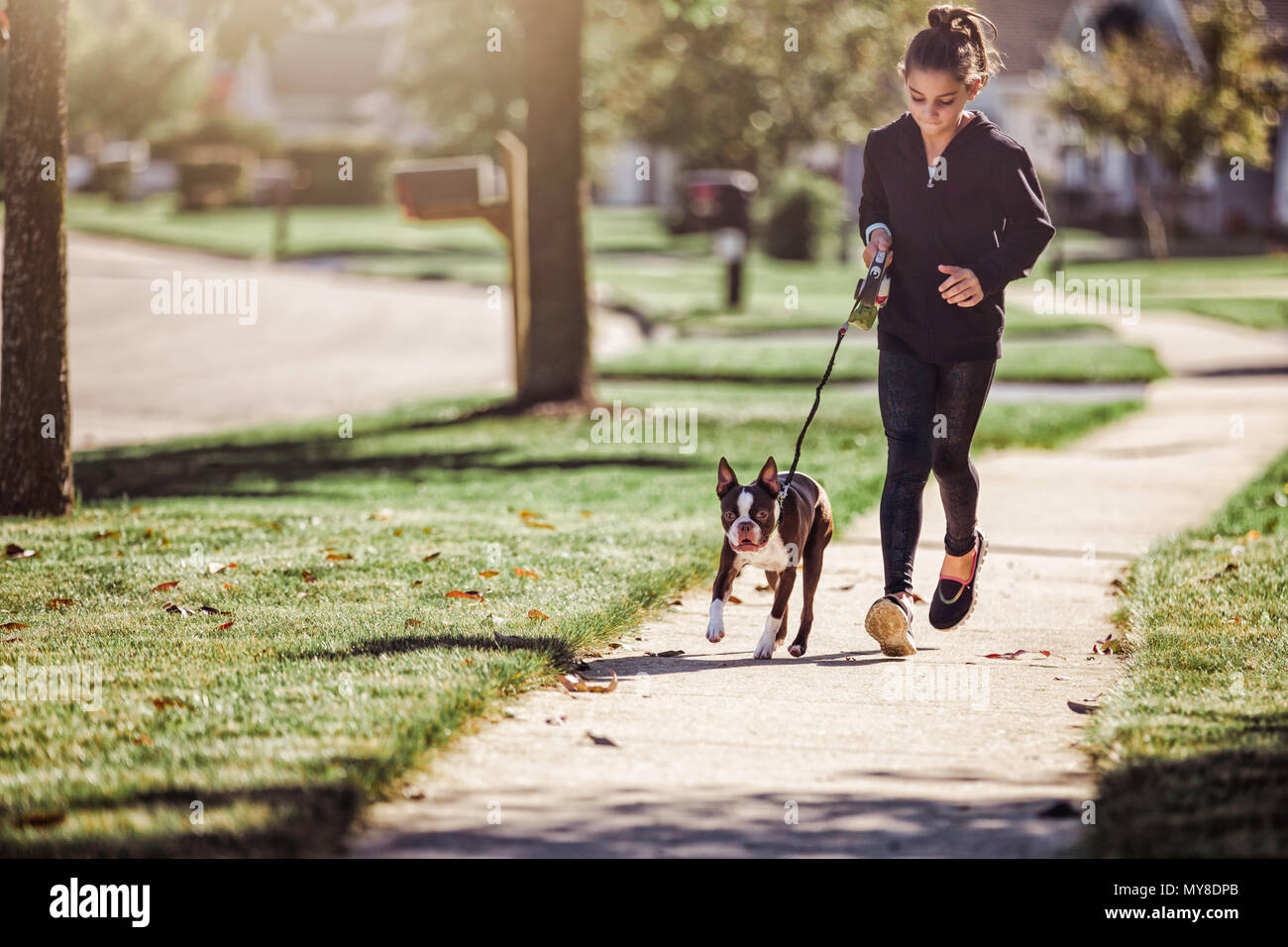 De joven, paseando a un perro a lo largo de vía Foto de stock