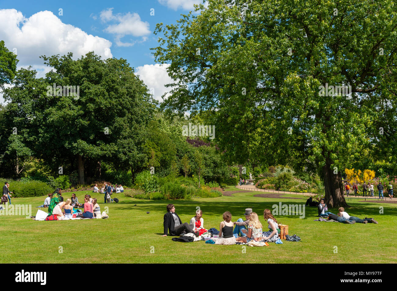 Picnic de verano en Hyde Park, Londres, Reino Unido. Foto de stock