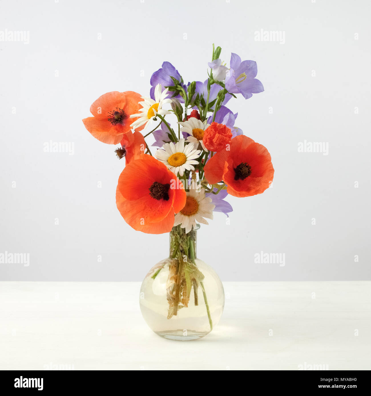 Bouquet de flores hermosas Chamomiles de trigo y amapolas Foto de stock