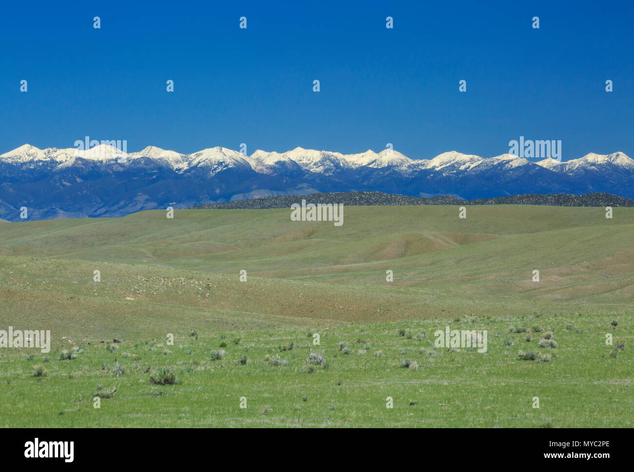 Los pastizales y las cimas de las montañas cercanas a raíz del tabaco Dillon, Montana Foto de stock