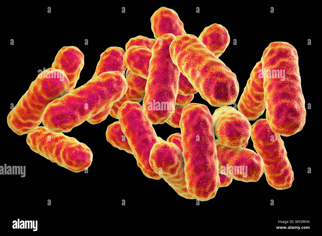 Bacteria comensal fotografías e imágenes de alta resolución - Alamy