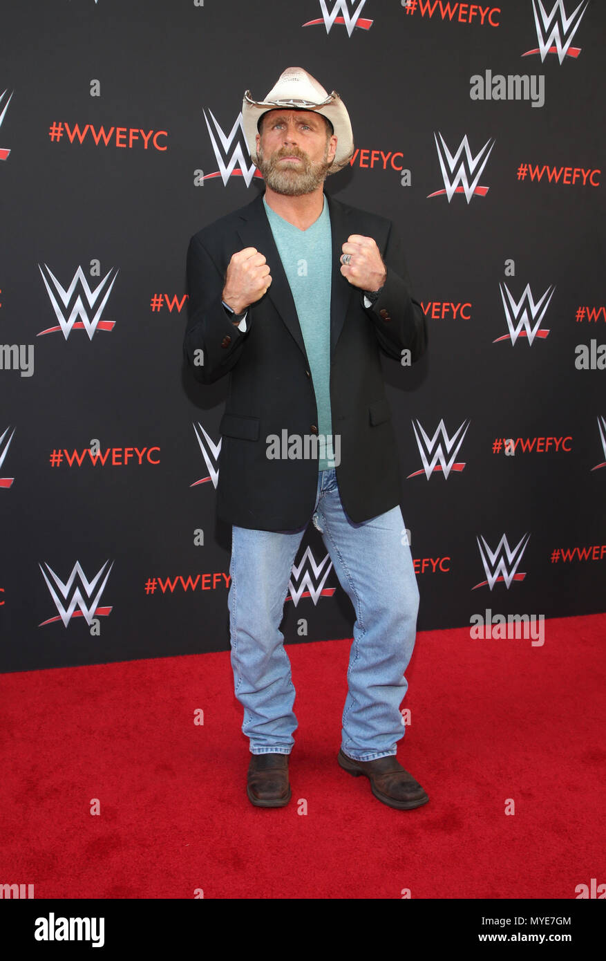 NORTH HOLLYWOOD, CA - 6 de junio: Shawn Michaels, WWE First-Ever Emmy "para su consideración" en el Saban Media Center en North Hollywood, California, el 6 de junio de 2018. Crédito: Faye Sadou/MediaPunch Foto de stock