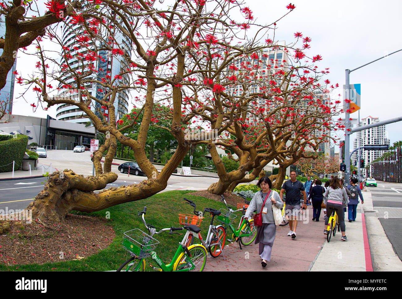 Bicicleteria discount san diego