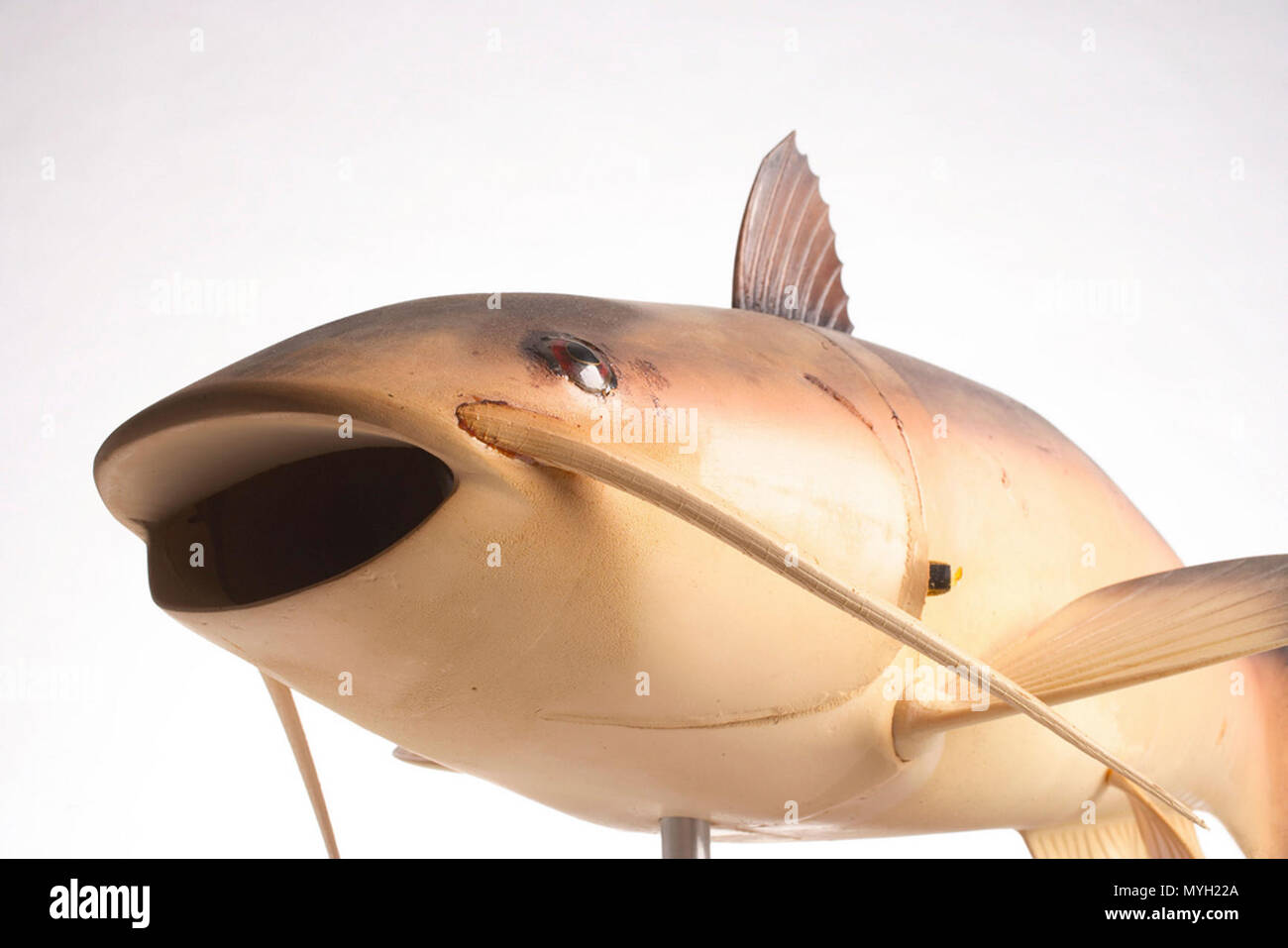 Robot fish fotografías e imágenes de alta resolución - Alamy