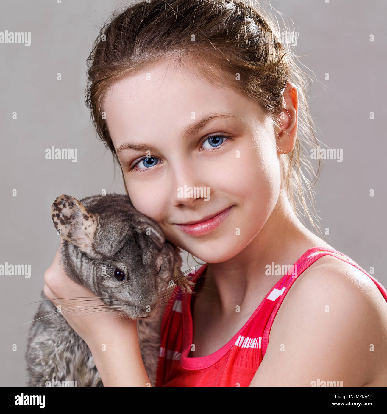 Linda niña sonriente sostiene gracioso chinchilla gris. Foto de stock
