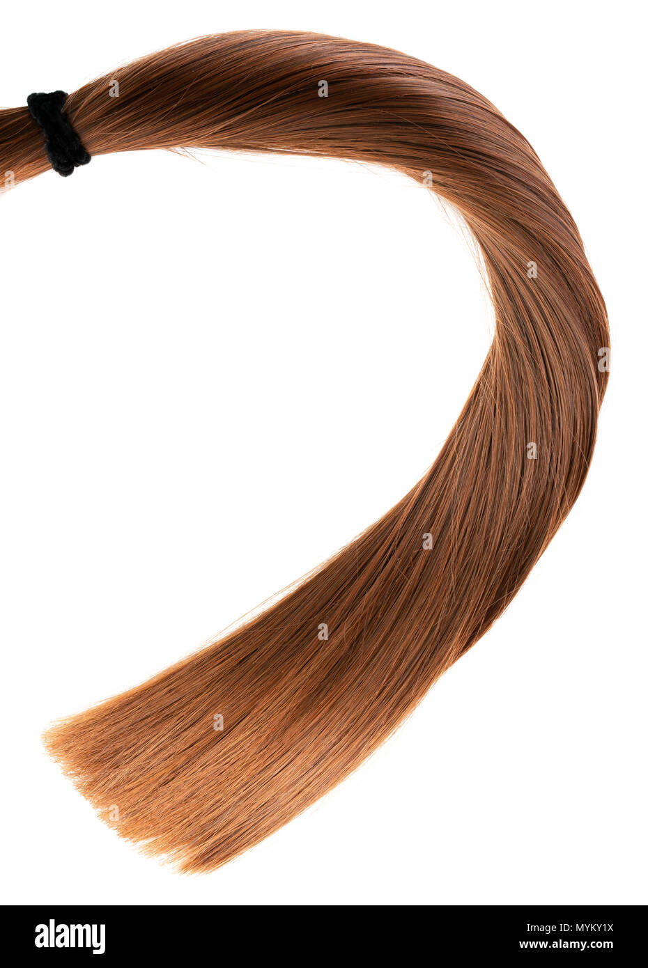 Largo recto sano ponytail cabello marrón sobre fondo blanco. Foto de stock
