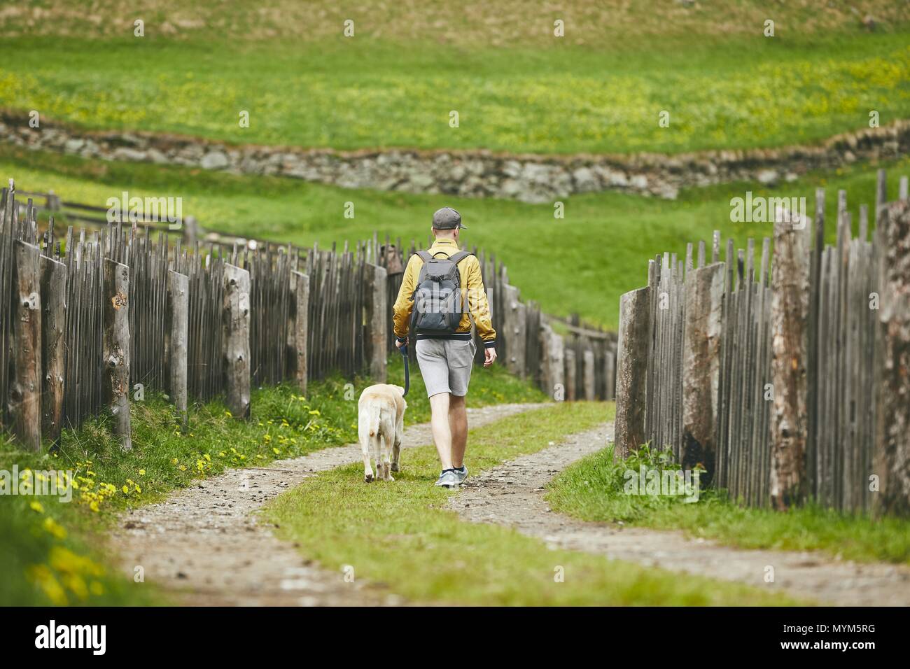 Turista con perro en campo. Joven caminando con el labrador retriever en camino de tierra. Foto de stock