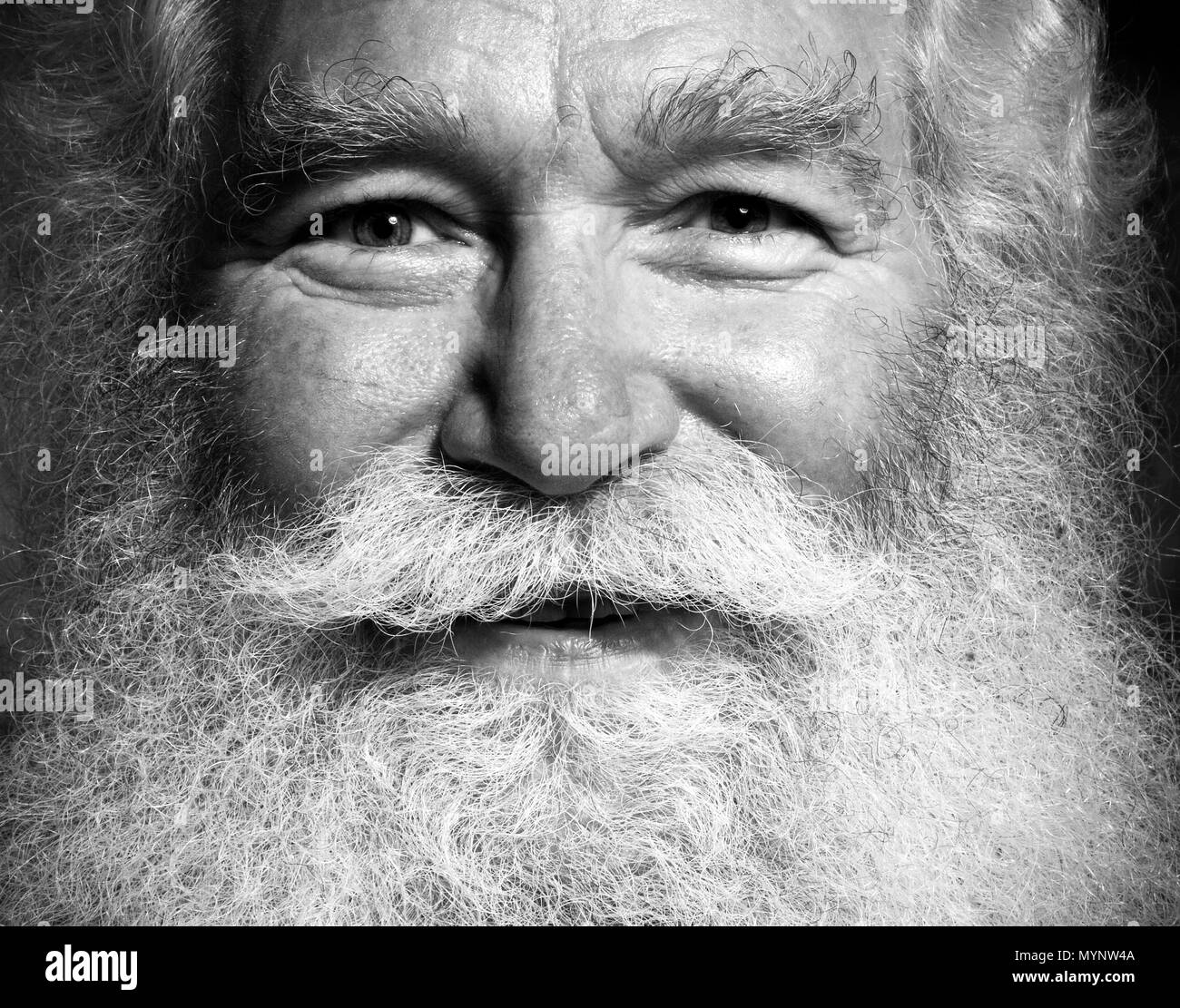 Los retratos de Santa Claus Foto de stock