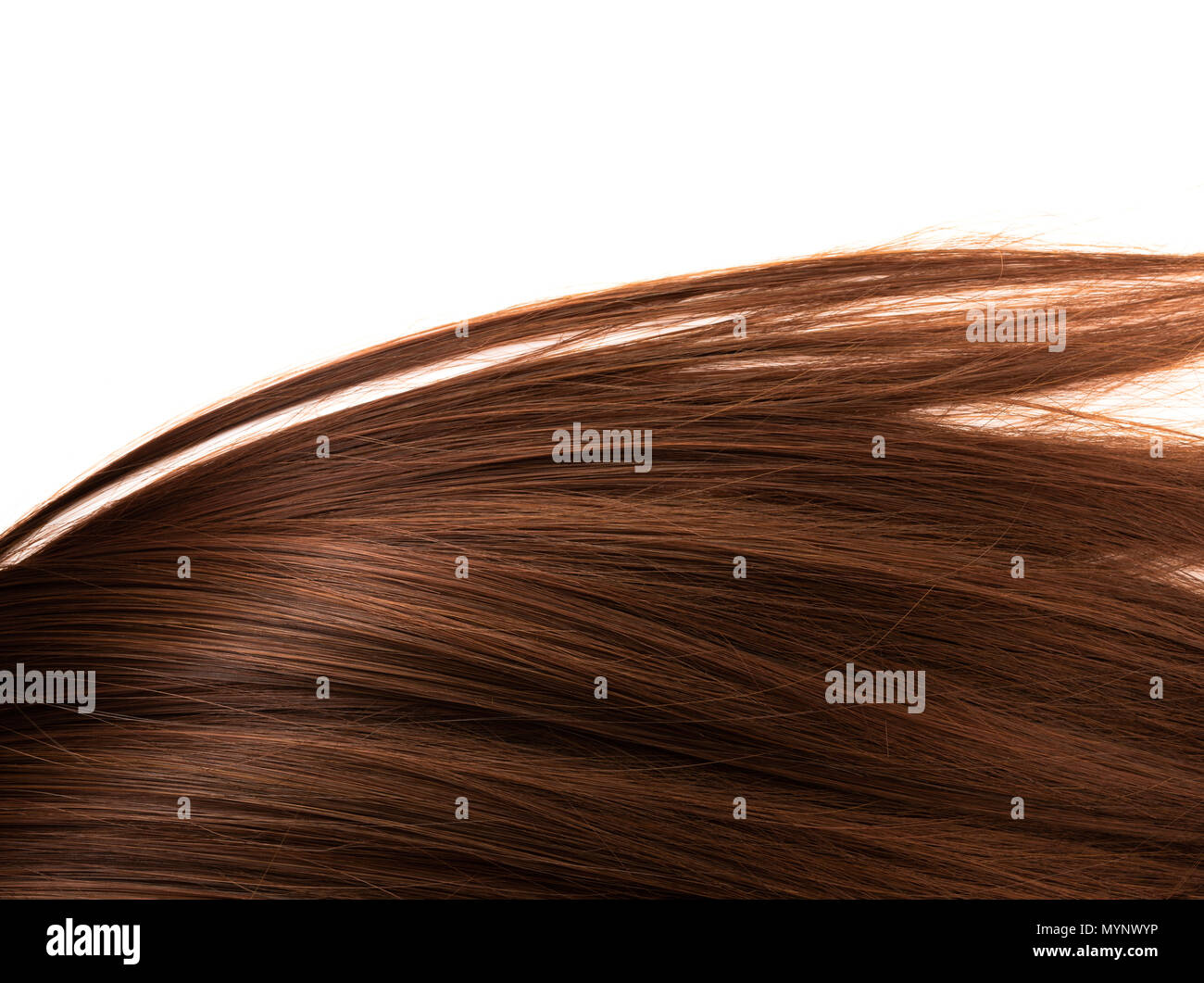 Largo recto sano pelo marrón sobre fondo blanco. Foto de stock