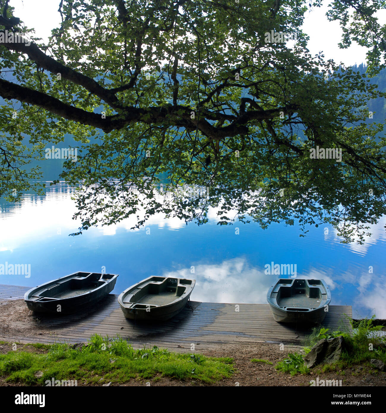 Lago Pavin, departamento de Puy de Dome, Auvernia-Ródano-Alpes, Francia Foto de stock