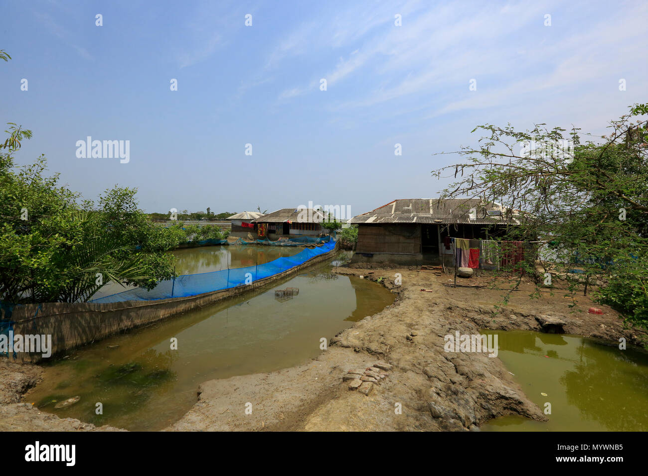 Vista de una llanura aluvial desecado en Gabura europea en Shyamnagar Upajila bajo el distrito de Satkhira en Bangladesh. El ciclón Aila inundan esta área en 2009, t Foto de stock
