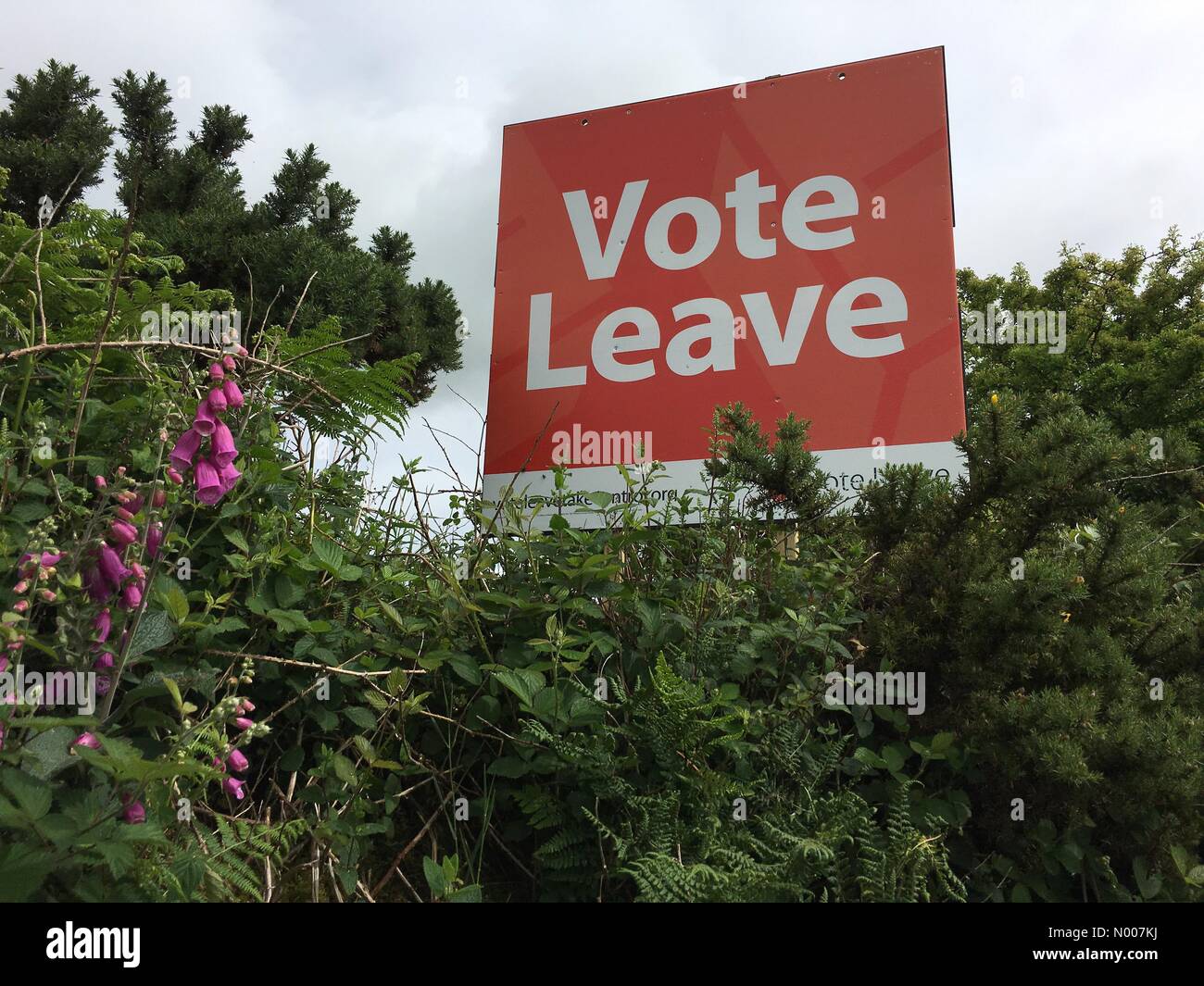 Vote dejar la campaña para el Referéndum de Billboard de la UE el 23 de junio de 2016. Vallas publicitarias en el lado de la carretera B3357 de Tavistock al parque nacional de Dartmoor, Devon, Inglaterra. Foto de stock