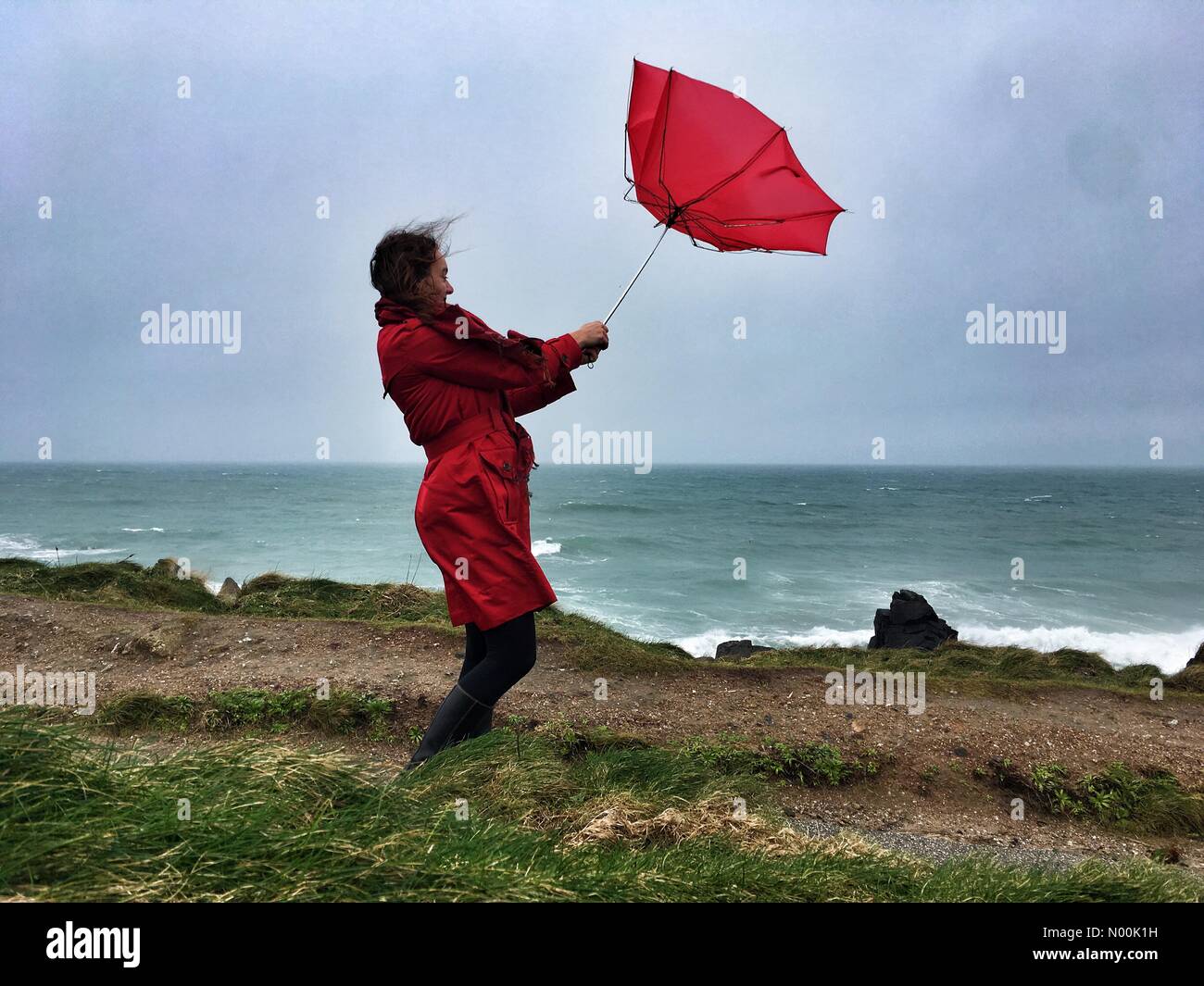 El clima del REINO UNIDO: día ventoso de coloridas sombrillas en St Ives. Raich Keene peleas fuertes ráfagas de viento con su paraguas en la costa de St Ives. Foto de stock