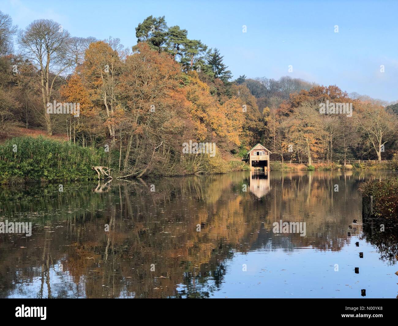 Winkworth Arboretum, Godalming. El 17 de noviembre de 2018. Una fría y soleada de comenzar el día para el hogar de los condados. Winkworth Arboretum en Godalming, Surrey. Crédito: jamesjagger/StockimoNews/Alamy Live News Foto de stock