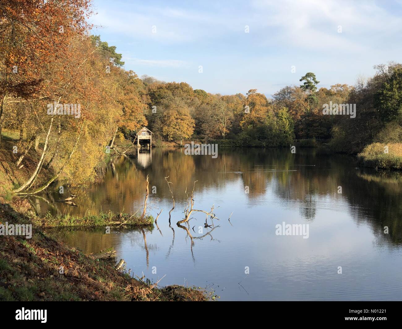 Winkworth Arboretum, Godalming, Surrey. 16 de noviembre de 2019. Una gloriosa de empezar el día para el hogar de los condados. Winkworth Arboretum en Godalming, Surrey. Crédito: jamesjagger/StockimoNews/Alamy Live News Foto de stock